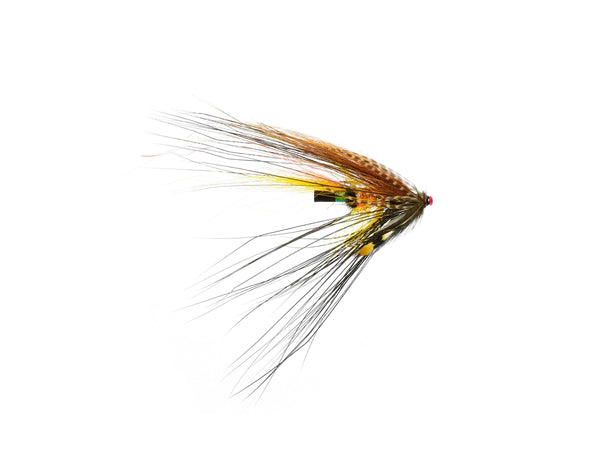 12-pack Akroyd Spey